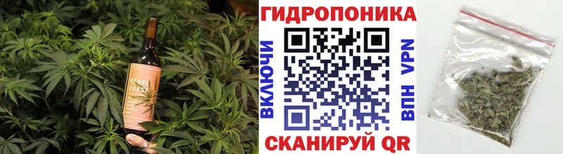 Canna-Cookies конопля  Купить где  Малая Вишера 