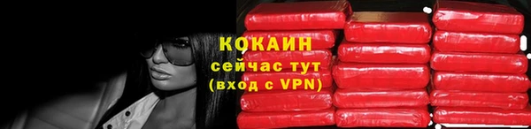 соль ск Заводоуковск