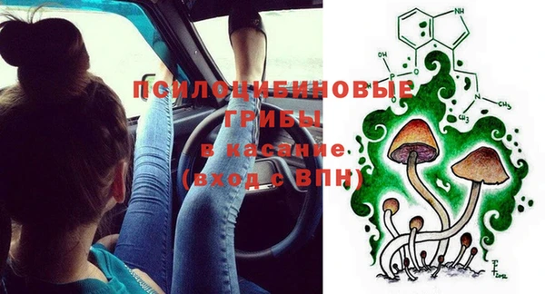 соль ск Заводоуковск
